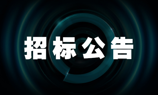 乐鱼国际中心项目--全过程工程造价咨询—招标公告